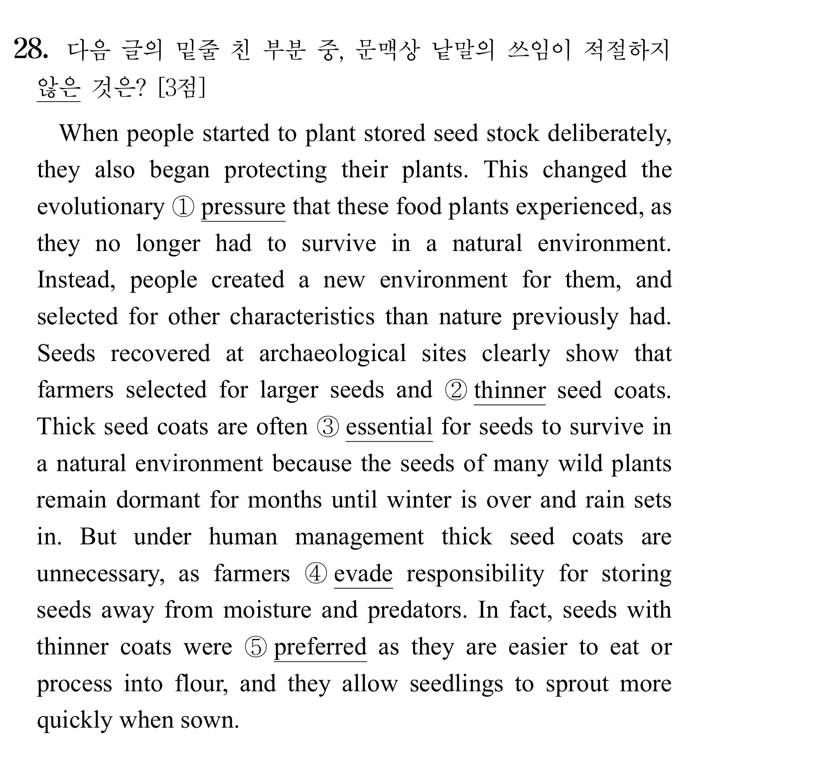 28번
