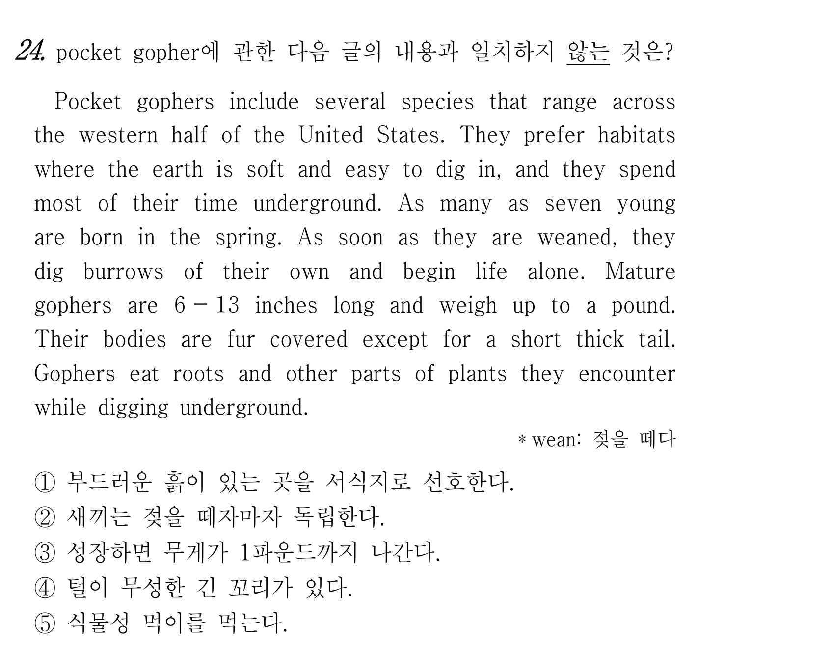 24번