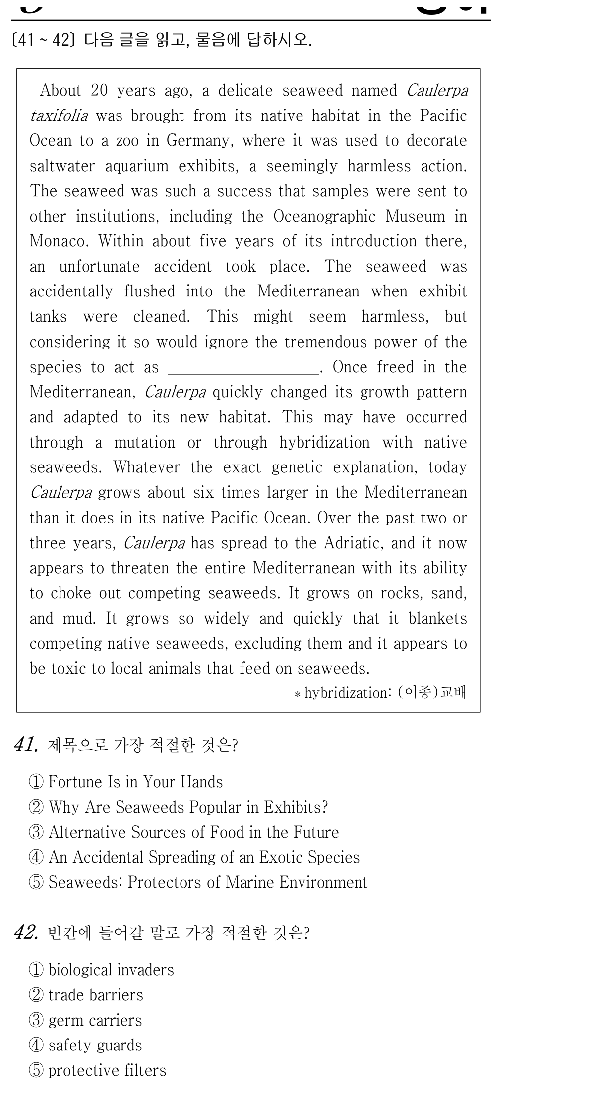 41번
