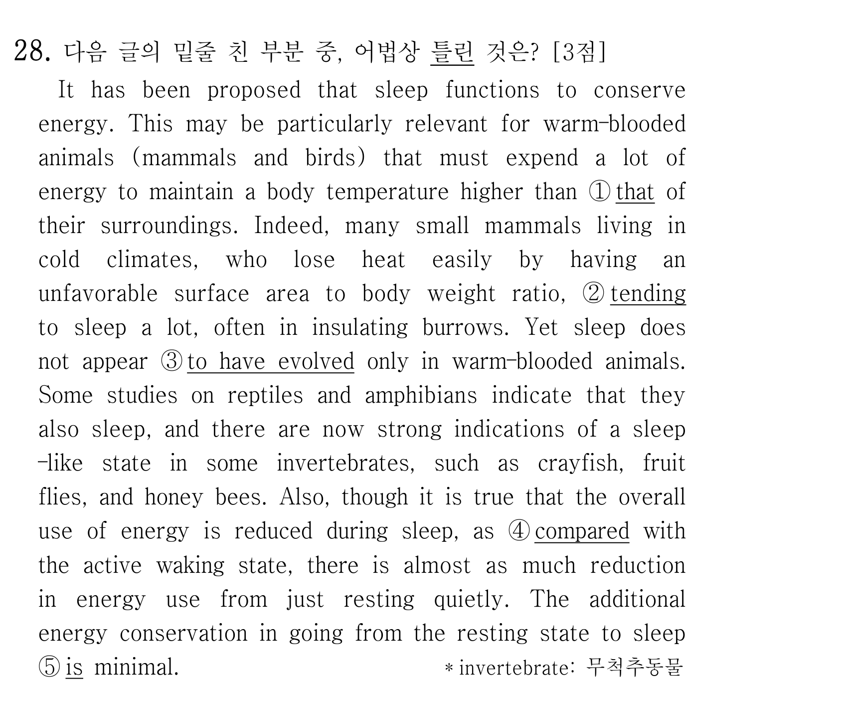 28번