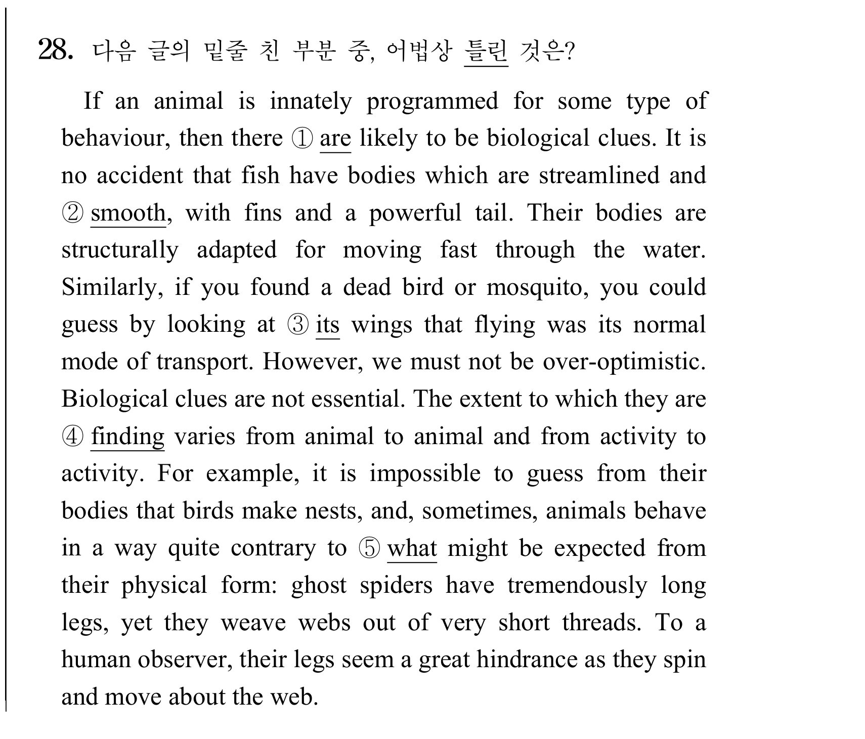 28번