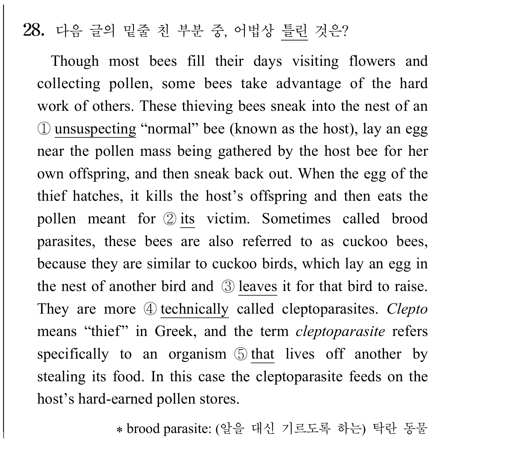 28번