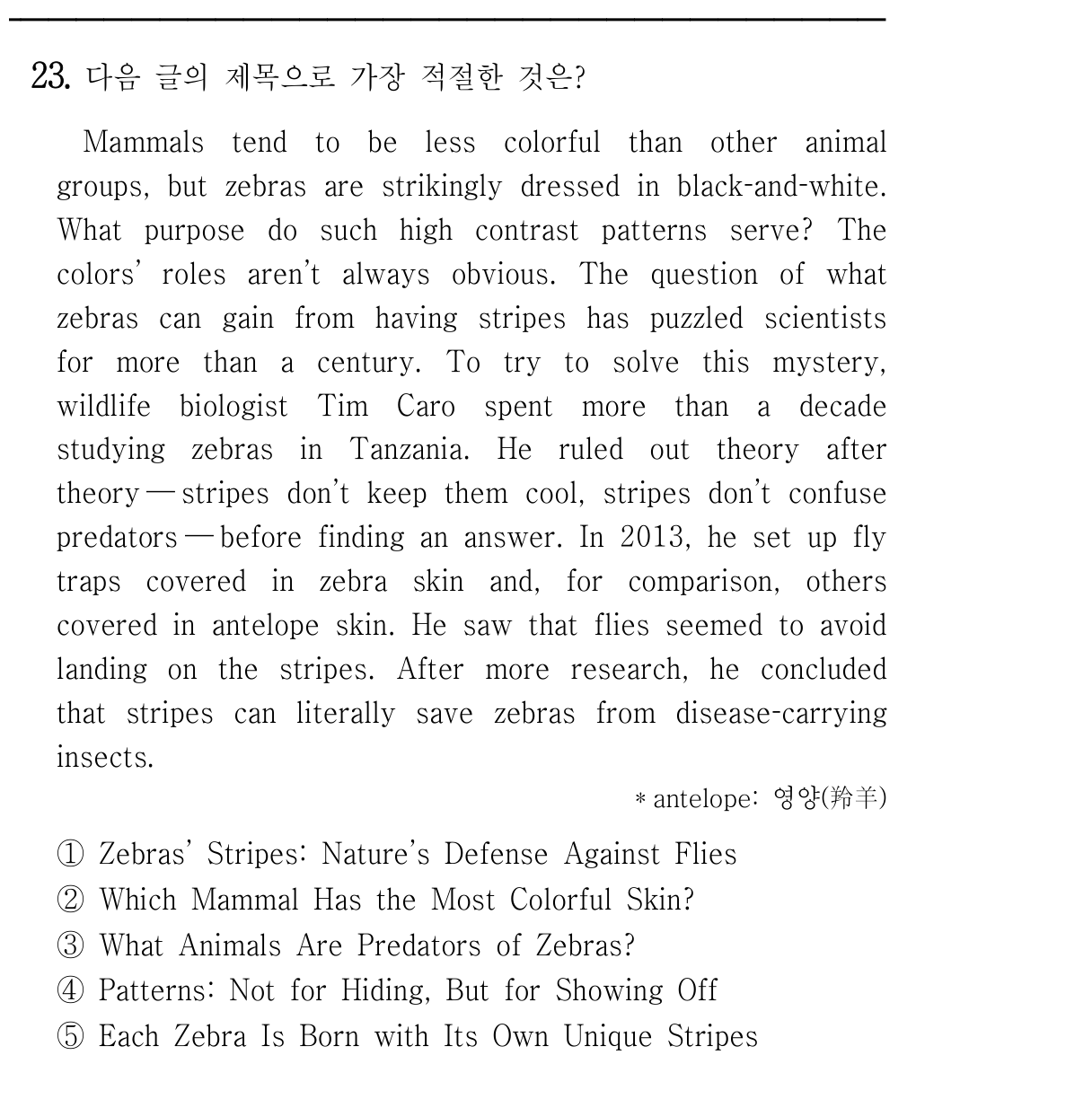 23번