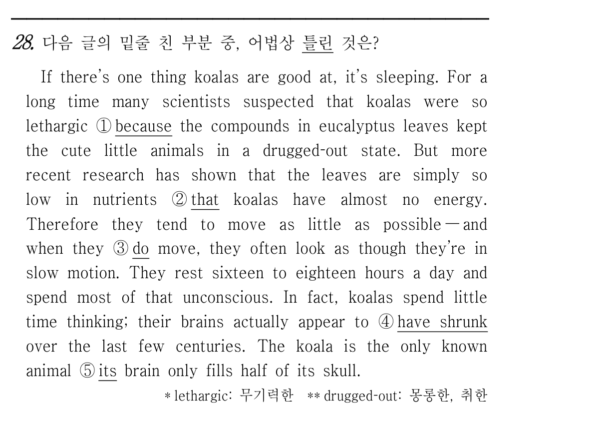 28번