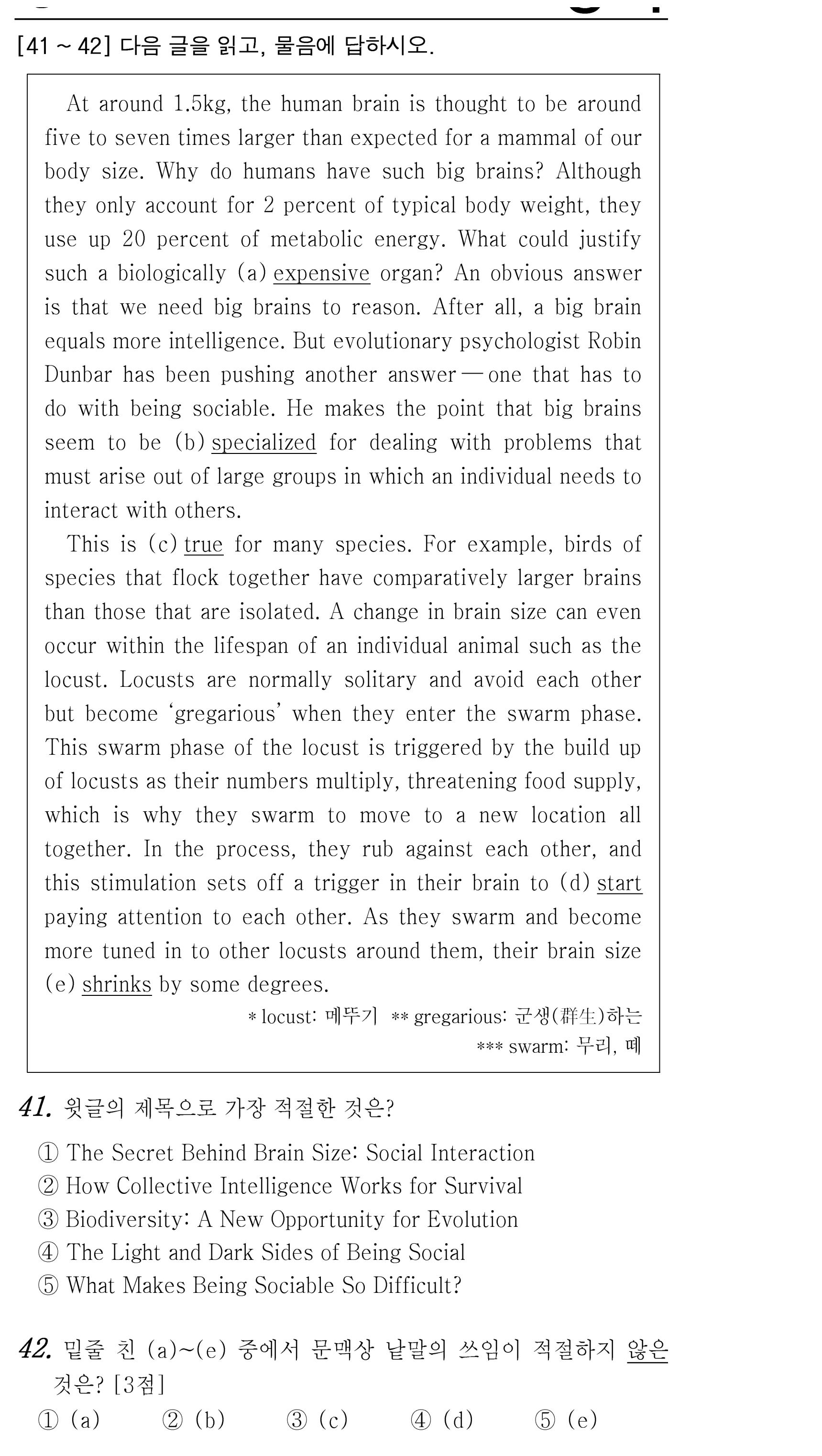 41번