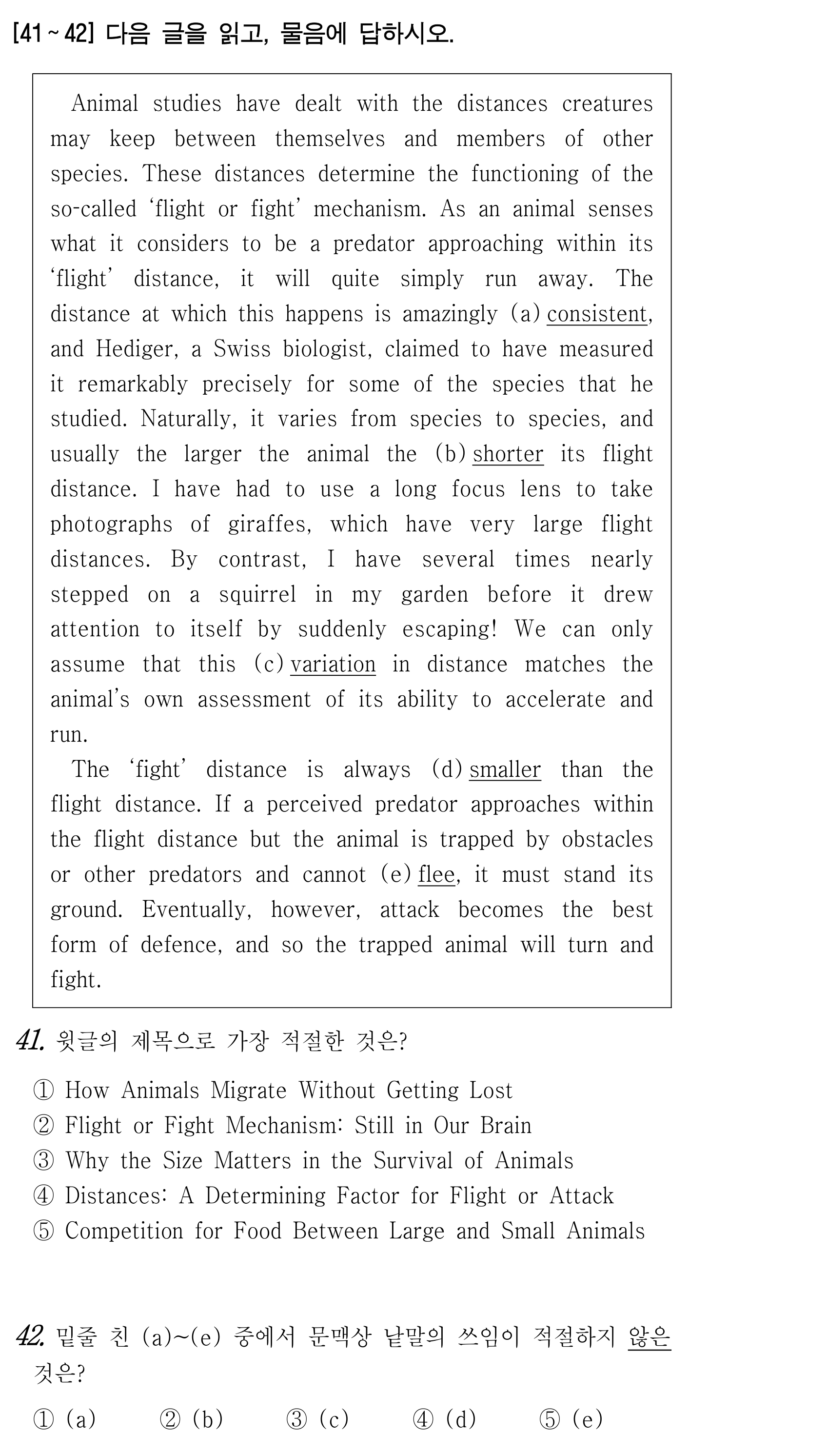 41번