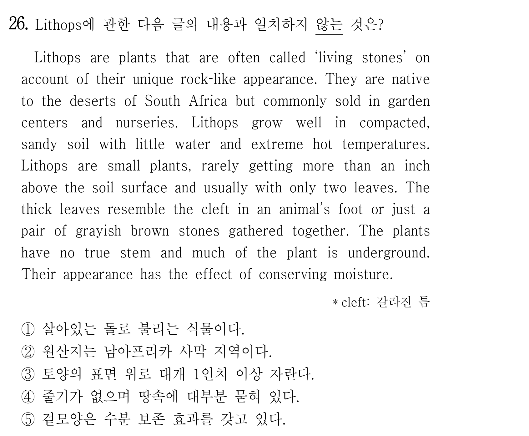 26번