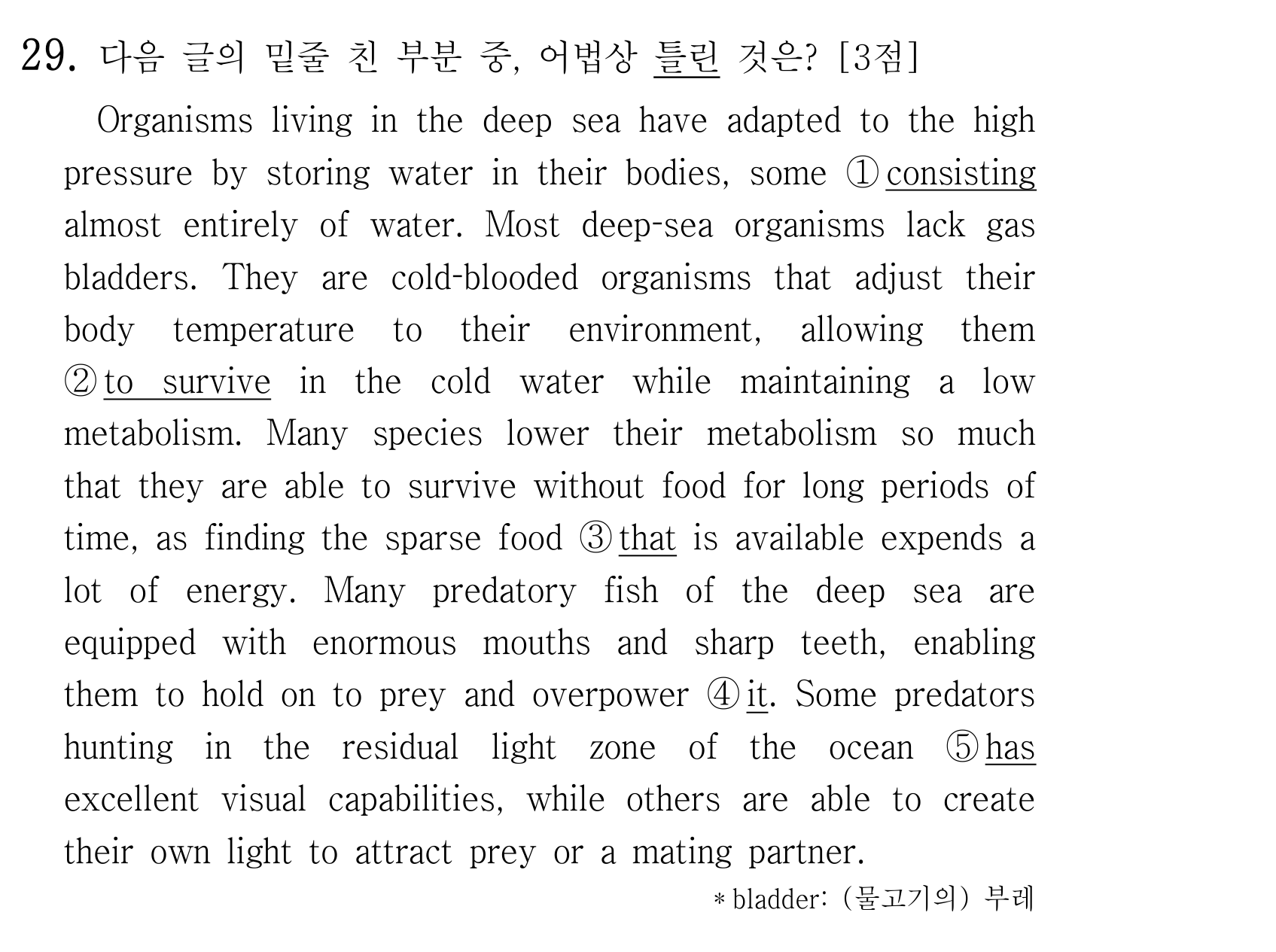 29번
