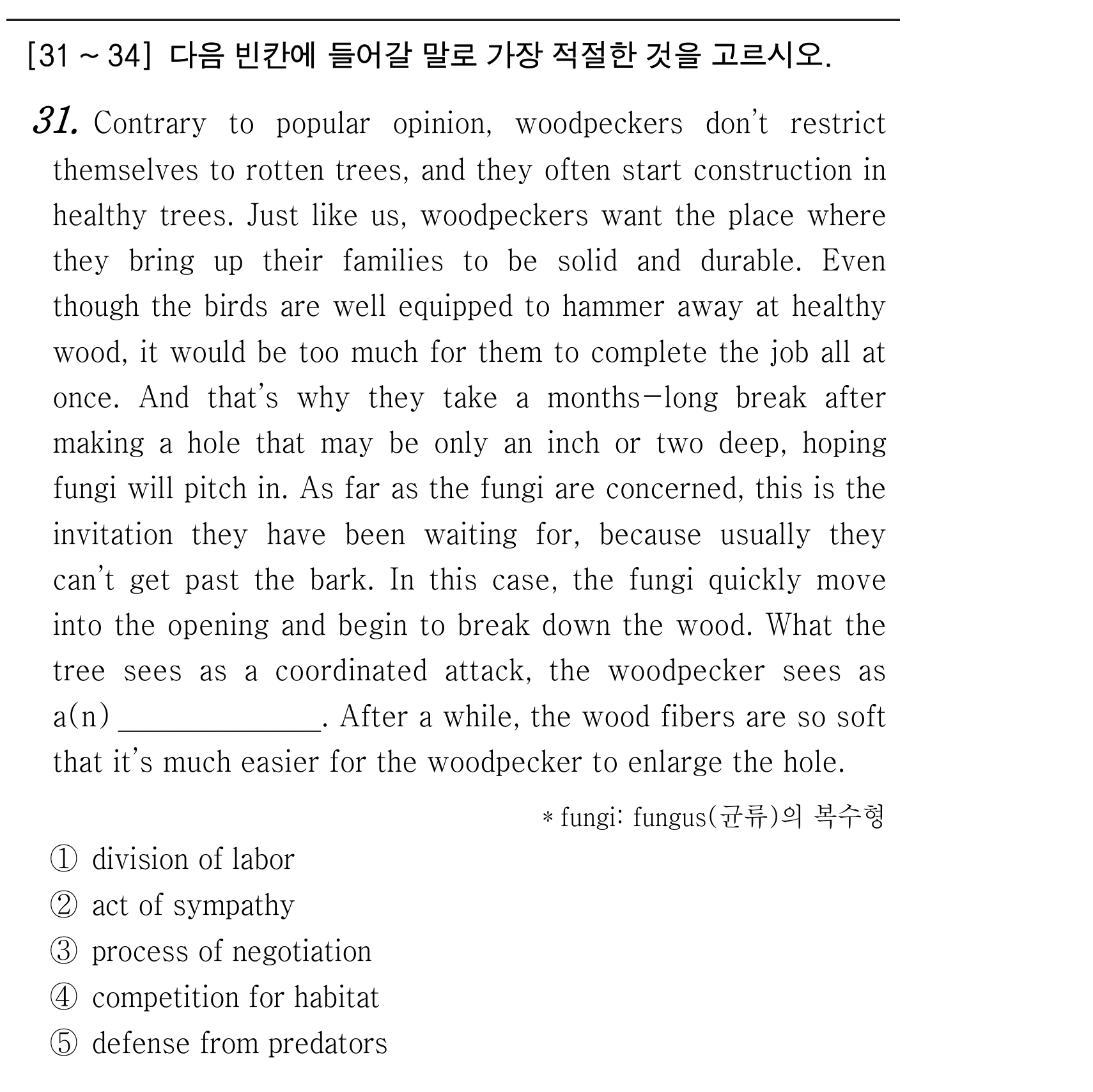 31번