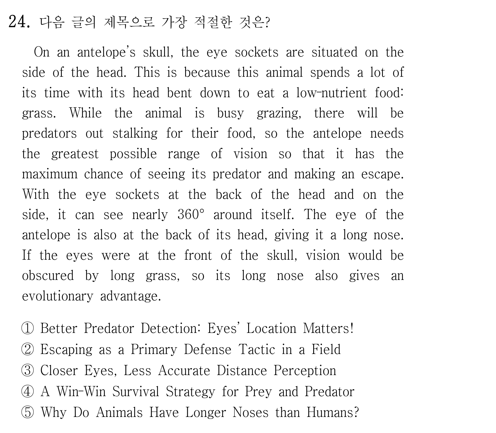 24번