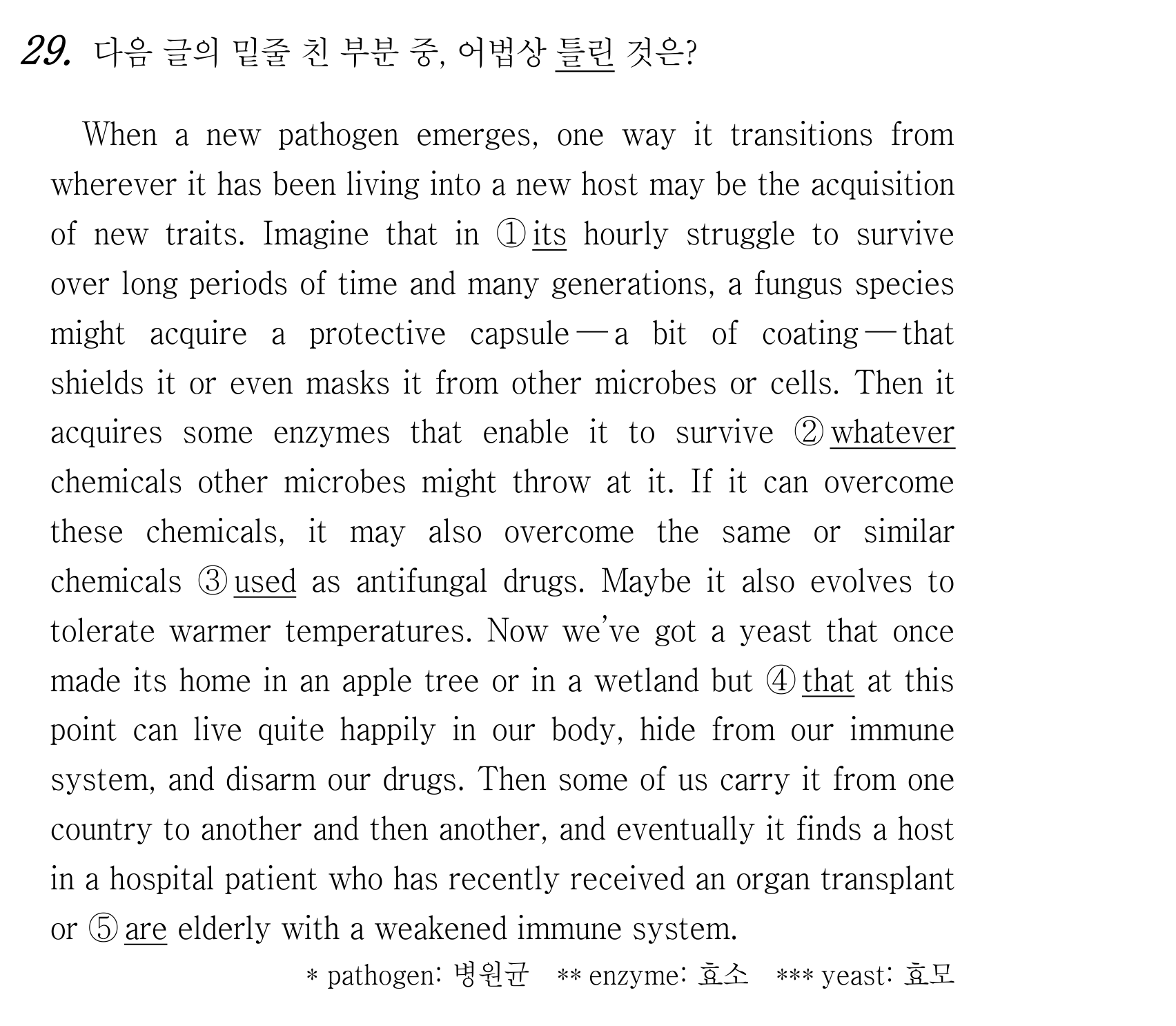 29번
