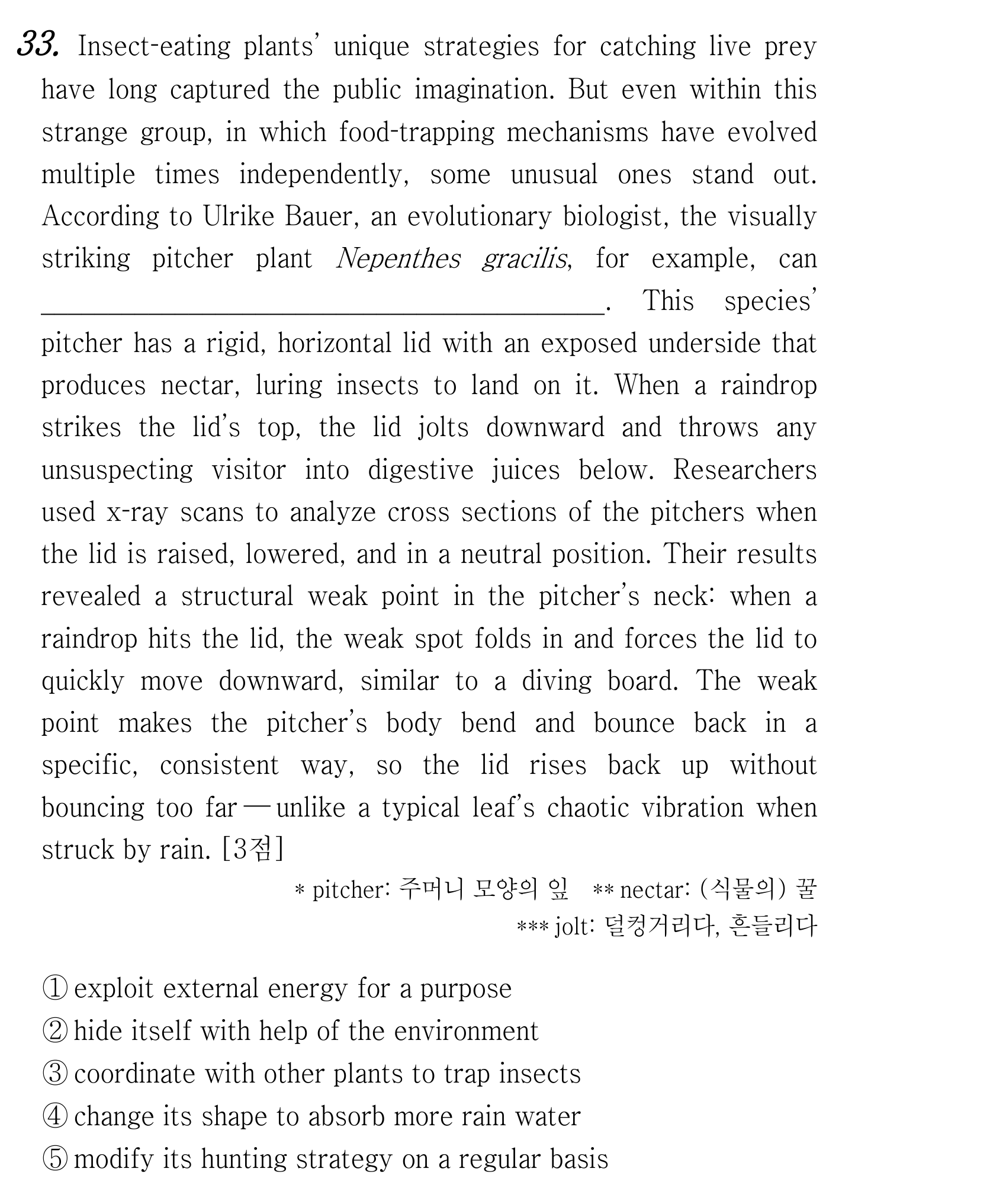 33번