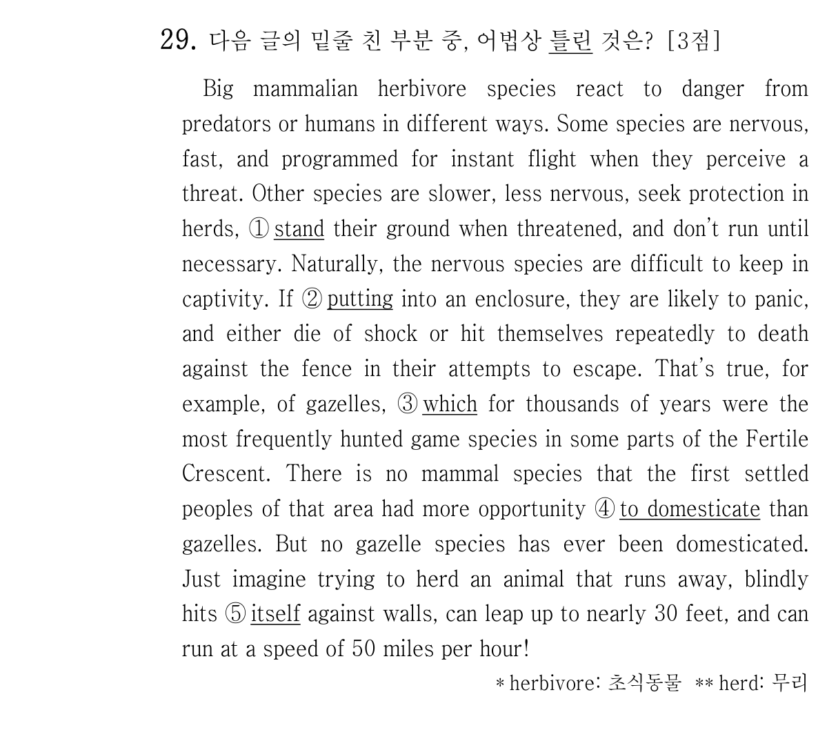 29번