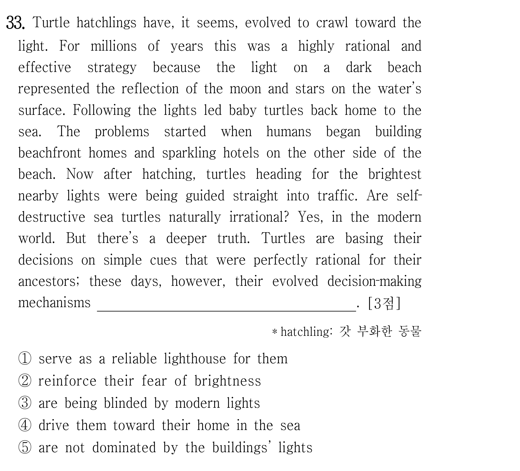 Turtle hatchlings have, it seems — 2025년 6월 고2 33번 해석/풀이